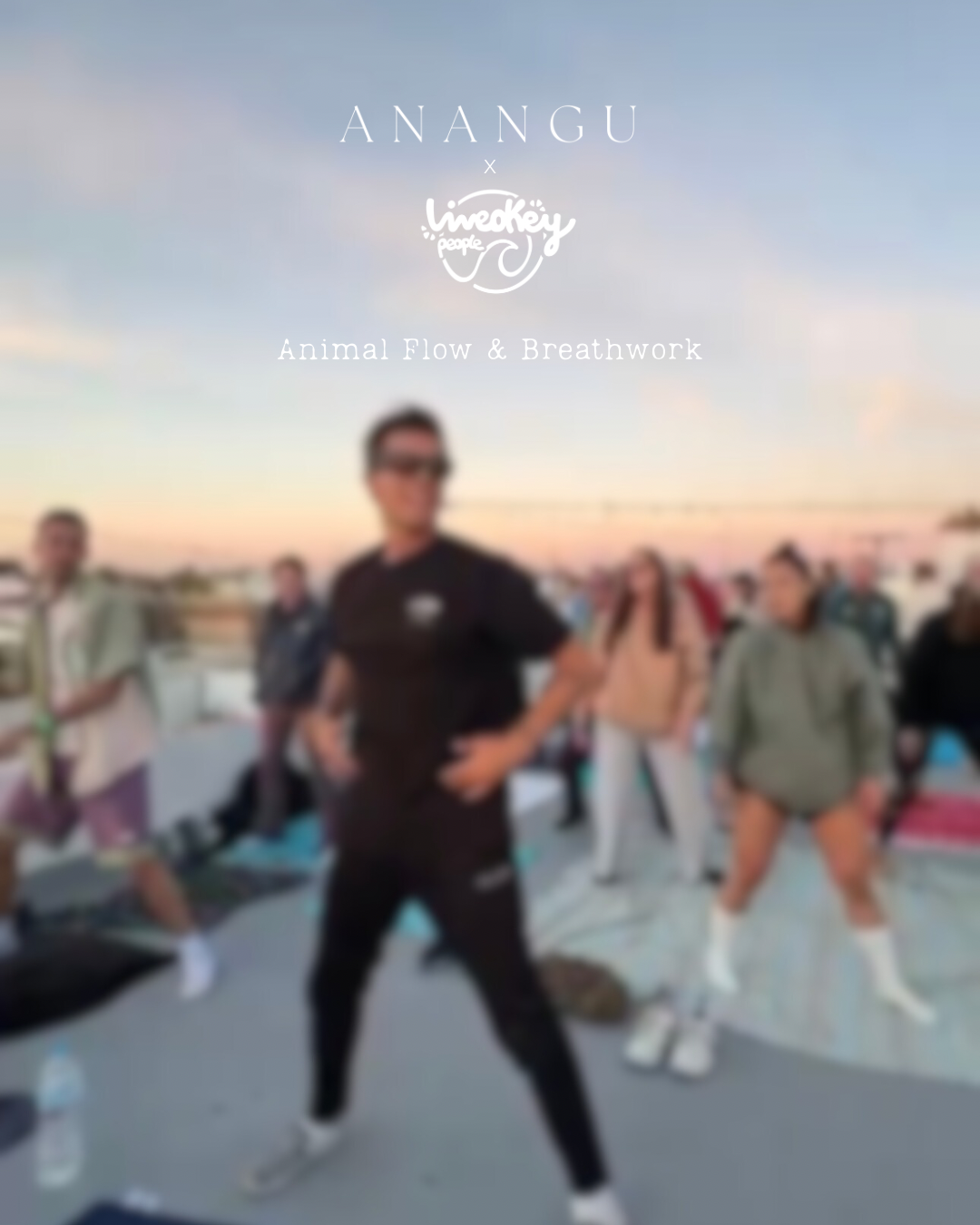 Animal Flow & Breathwork · DANZA 180